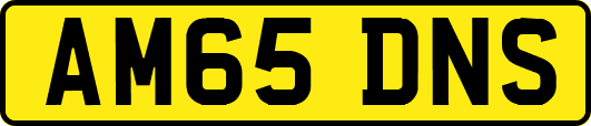 AM65DNS