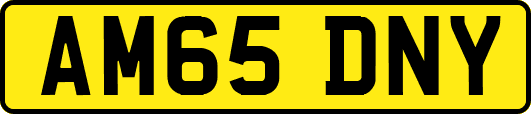 AM65DNY