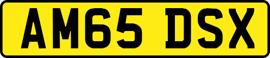 AM65DSX