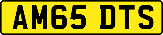 AM65DTS