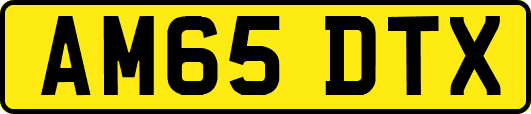 AM65DTX