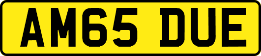 AM65DUE