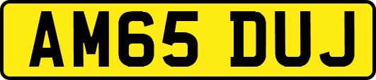 AM65DUJ