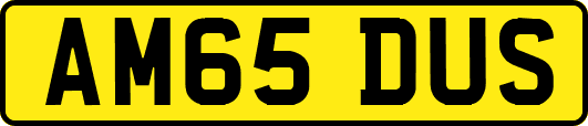 AM65DUS