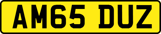 AM65DUZ