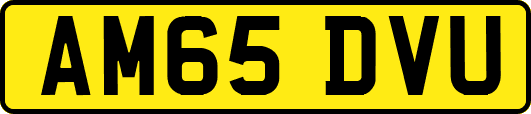AM65DVU
