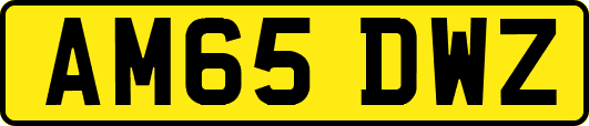 AM65DWZ