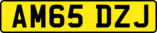 AM65DZJ