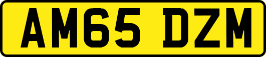 AM65DZM