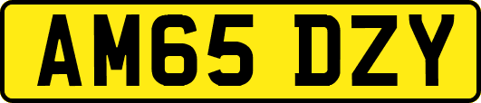 AM65DZY