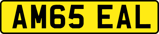 AM65EAL