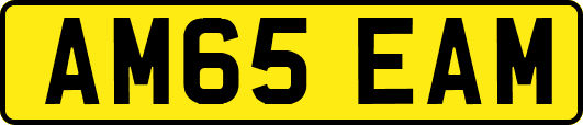 AM65EAM
