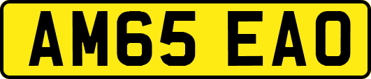 AM65EAO