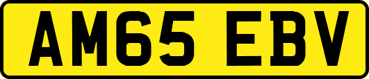 AM65EBV