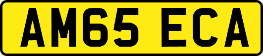 AM65ECA