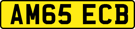 AM65ECB