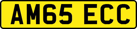 AM65ECC