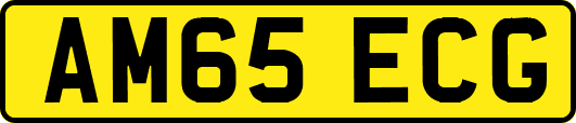 AM65ECG