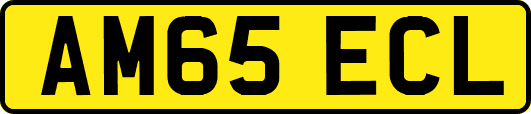 AM65ECL