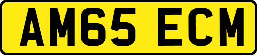 AM65ECM