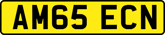 AM65ECN
