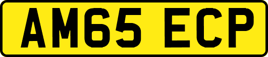 AM65ECP
