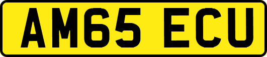 AM65ECU