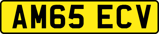 AM65ECV