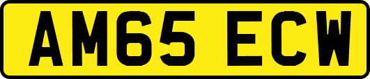 AM65ECW