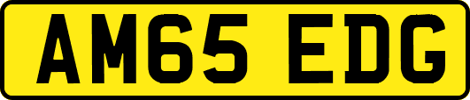 AM65EDG