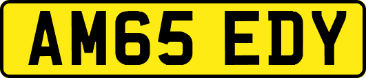 AM65EDY