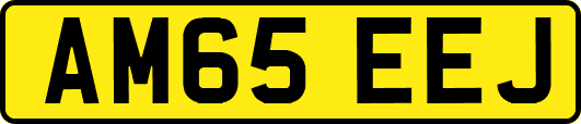AM65EEJ