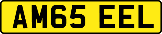 AM65EEL