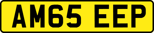 AM65EEP