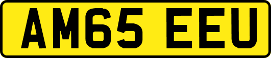 AM65EEU