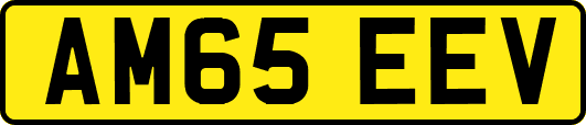 AM65EEV