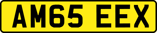 AM65EEX