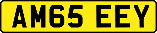 AM65EEY
