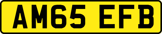 AM65EFB