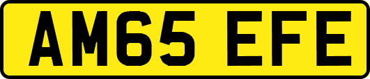 AM65EFE