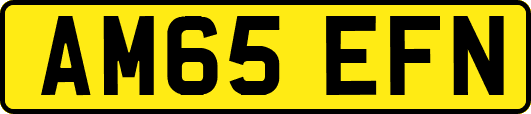 AM65EFN