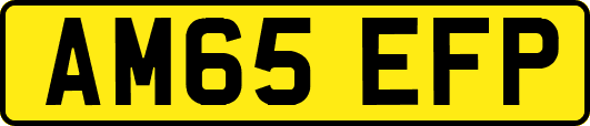 AM65EFP
