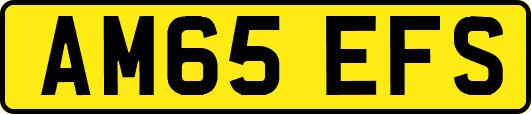 AM65EFS