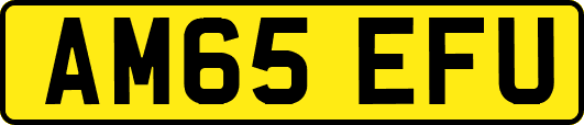 AM65EFU