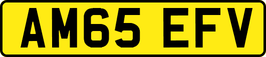 AM65EFV