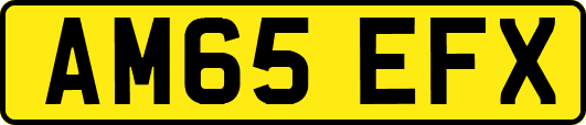 AM65EFX