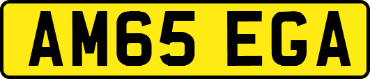 AM65EGA