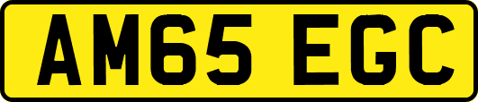 AM65EGC