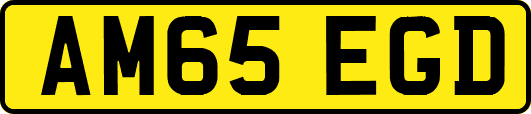 AM65EGD