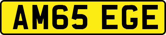 AM65EGE